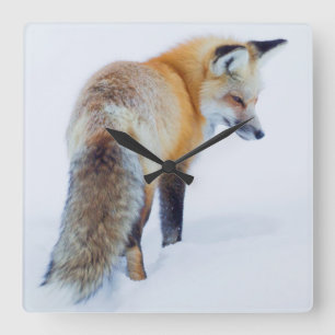 Roter Fox im Winter Quadratische Wanduhr