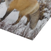Roter Fox im Winter Schneidebrett (Ecke)