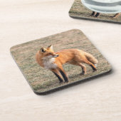 Roter Fox in einem Feld Getränkeuntersetzer (Linke Seite)