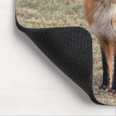 Roter Fox in einem Feld Mousepad (Ecke)