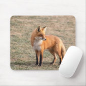 Roter Fox in einem Feld Mousepad (Mit Mouse)