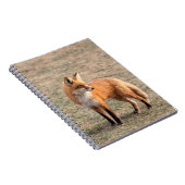 Roter Fox in einem Feld Notizblock (Rechte Seite)