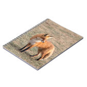 Roter Fox in einem Feld Notizblock (Linke Seite)