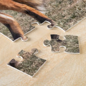 Roter Fox in einem Feld Puzzle (Seite)