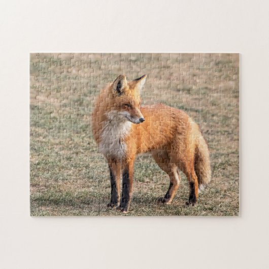 Roter Fox in einem Feld Puzzle (Horizontal)