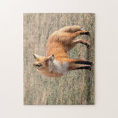 Roter Fox in einem Feld Puzzle (Vertikal)