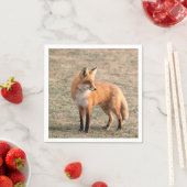 Roter Fox in einem Feld Serviette (Beispiel)