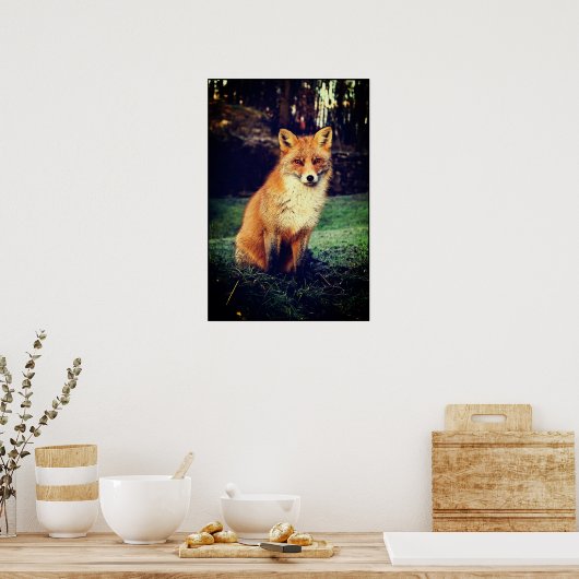 Roter Fox in einem Wald Poster (Küche)