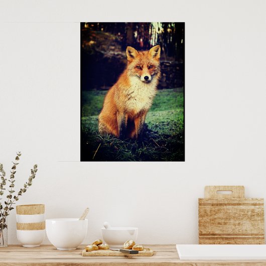 Roter Fox in einem Wald Poster (Küche)