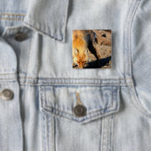 Roter Fox-Lebensraum-Quadrat-Button Button (Beispiel)