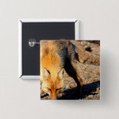 Roter Fox-Lebensraum-Quadrat-Button Button (Vorne & Hinten)