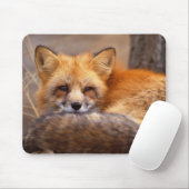 Roter Fox Mousepad (Mit Mouse)