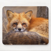 Roter Fox Mousepad (Vorne)