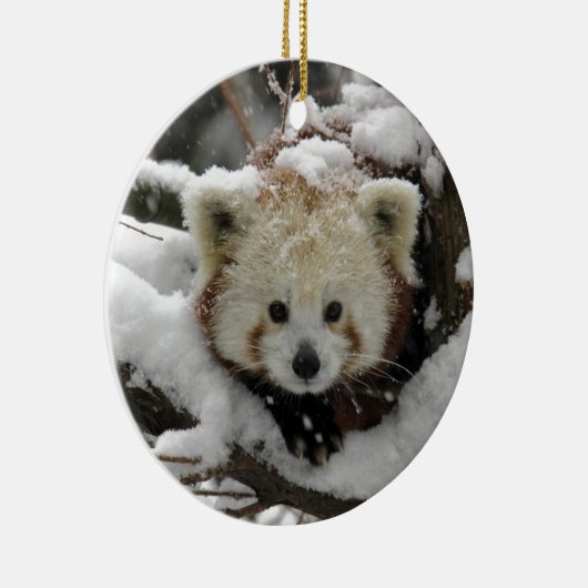 Roter Fox-Panda Bearcub Keramik Ornament (Rechts)