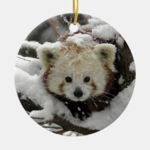 Roter Fox-Panda Bearcub Keramik Ornament