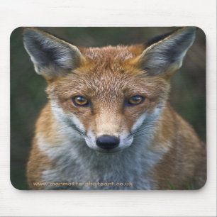 Roter Fox-Porträt Mousemat Mousepad