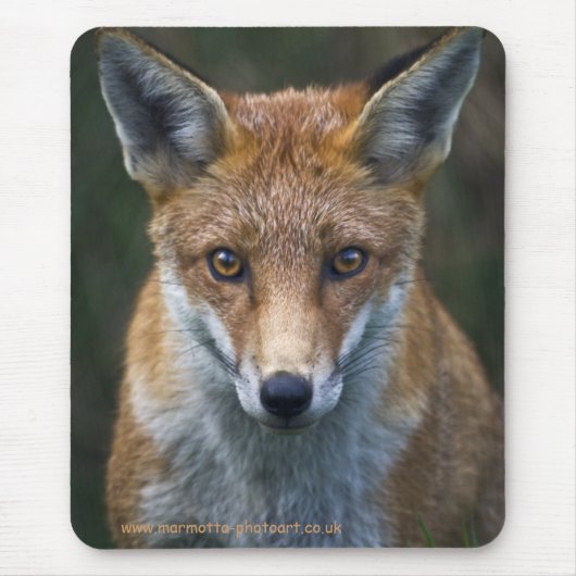 Roter Fox-Porträt Mousemat Mousepad (Vorne)