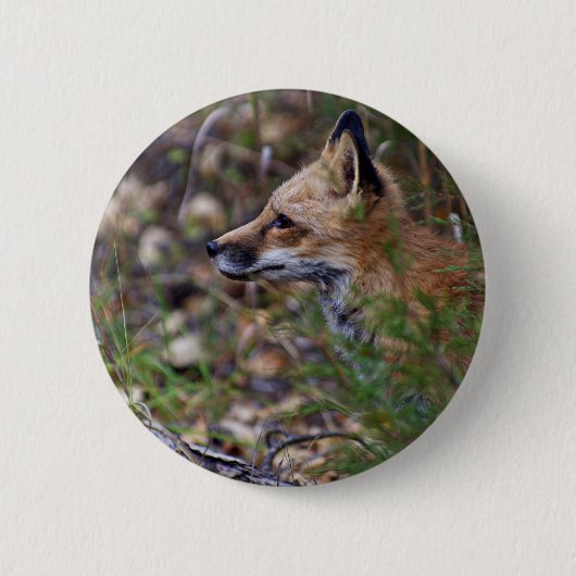 Roter Fox - Profil eines Fox Button (Vorderseite)