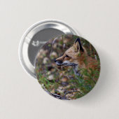 Roter Fox - Profil eines Fox Button (Vorne & Hinten)