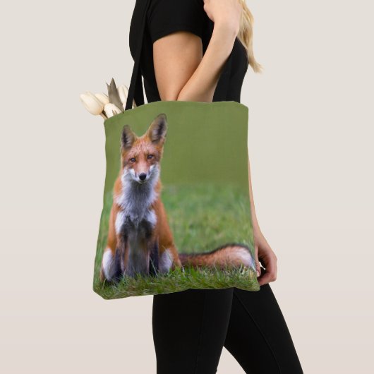 Roter Fox-Sitzen Tasche (Von Nahem)