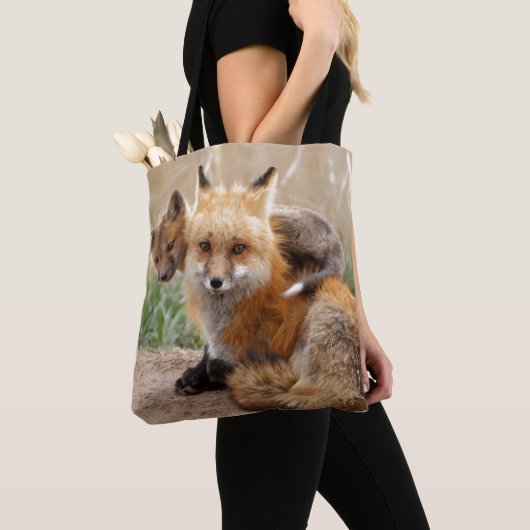 Roter Fox und Baby Tasche (Von Nahem)
