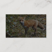 Roter Fox Visitenkarte (Rückseite)