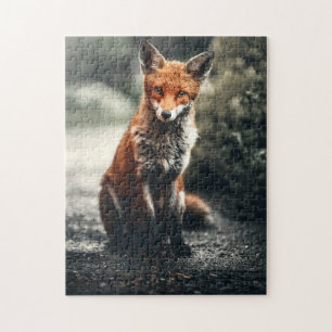 Roter Fox Wildtiere Jagd Tiere Waldlandschaft Puzzle