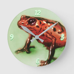 Roter Frosch, rund Uhr, Wildtierskizze in grüner F Runde Wanduhr