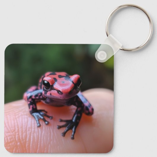 Roter Frosch Schlüsselanhänger (Rückseite)