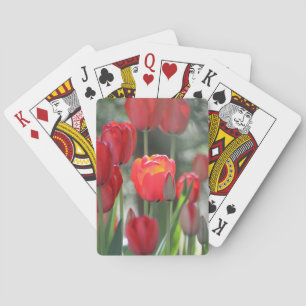 Roter Frühlings-Tulpe-Spielkarten Spielkarten