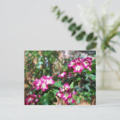 Roter Frühlings-Weißdorn Postkarte (Stehend Vorderseite)