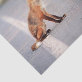 Roter Fuchs auf der Straßenseite Seidenpapier (Ausschnitt)