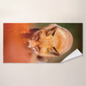 Roter Fuchs auf orangefarbenen Herbstblättern. Nie Badehandtuch (Badehandtuch)