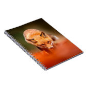Roter Fuchs auf orangefarbenen Herbstblättern. Nie Notizblock (Rechte Seite)