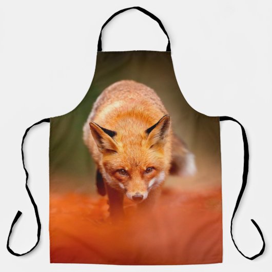 Roter Fuchs auf orangefarbenen Herbstblättern. Nie Schürze (Vorderseite)