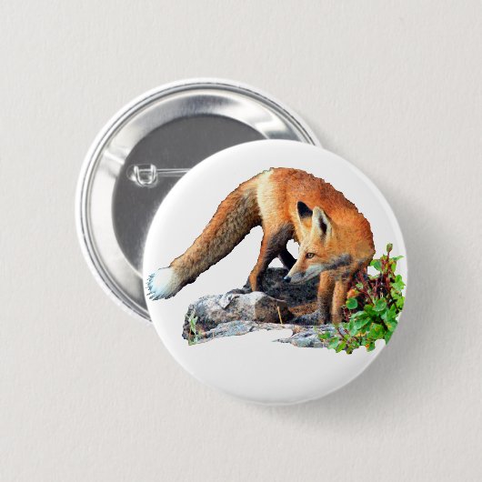 Roter Fuchs Button (Vorne & Hinten)