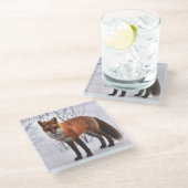 Roter Fuchs Foto Glasuntersetzer (Schrägansicht)