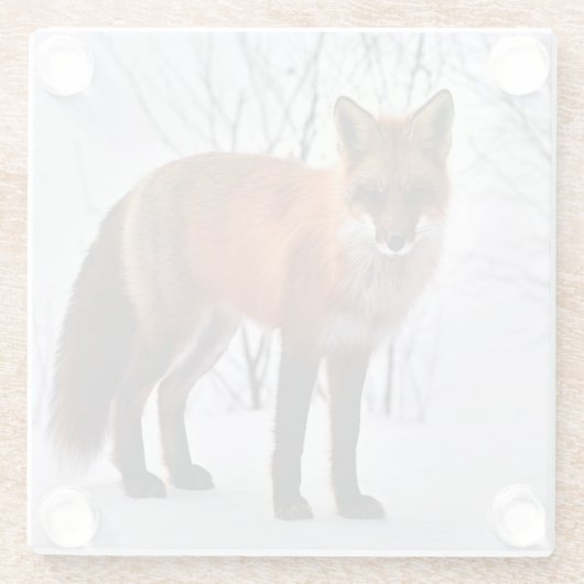 Roter Fuchs Foto Glasuntersetzer (Rückseite)