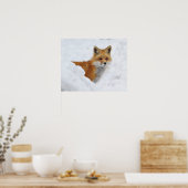 Roter Fuchs im Schnee Poster (Küche)