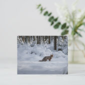 Roter Fuchs im Schnee Postkarte (Stehend Vorderseite)