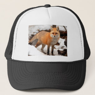 Roter Fuchs im Schnee Truckerkappe