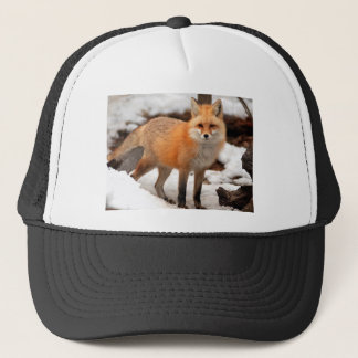 Roter Fuchs im Schnee Truckerkappe