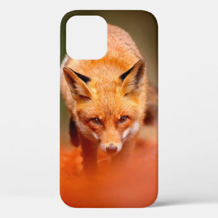 Roter Fuchs läuft auf orangen Herbstblättern. Süße Case-Mate iPhone Hülle
