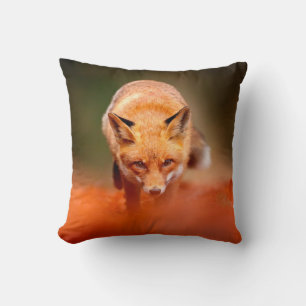 Roter Fuchs läuft auf orangen Herbstblättern. Süße Kissen