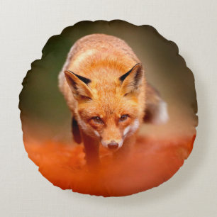 Roter Fuchs läuft auf orangen Herbstblättern. Süße Rundes Kissen