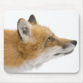 Roter Fuchs Mousepad (Vorne)