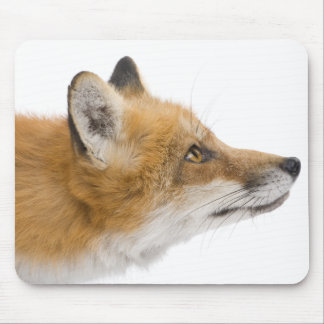 Roter Fuchs Mousepad