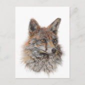 Roter Fuchs Postkarte (Vorderseite)