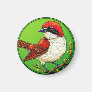 Roter Garnelenvogel Magnet