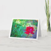 Roter Garten Rose Portrait Karte (Vorderseite)